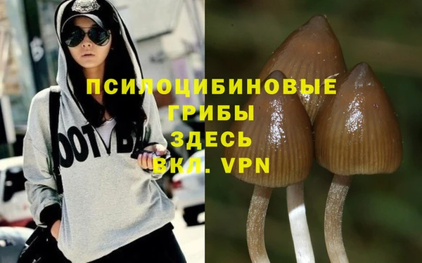 эйфоретик Богородицк
