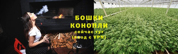 дживик Белокуриха