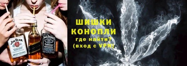 спайс Богданович