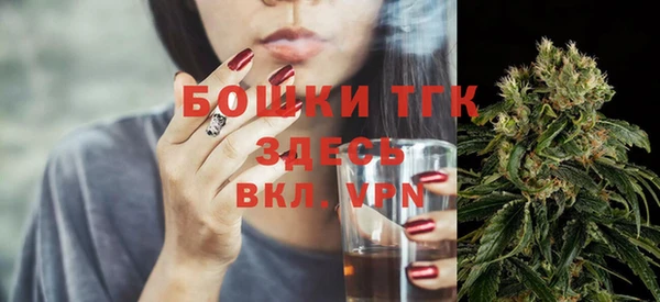 спайс Богданович