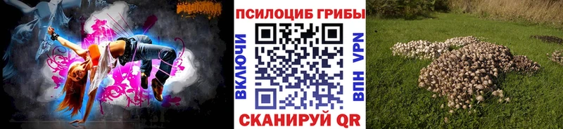 Псилоцибиновые грибы GOLDEN TEACHER  Вилючинск 